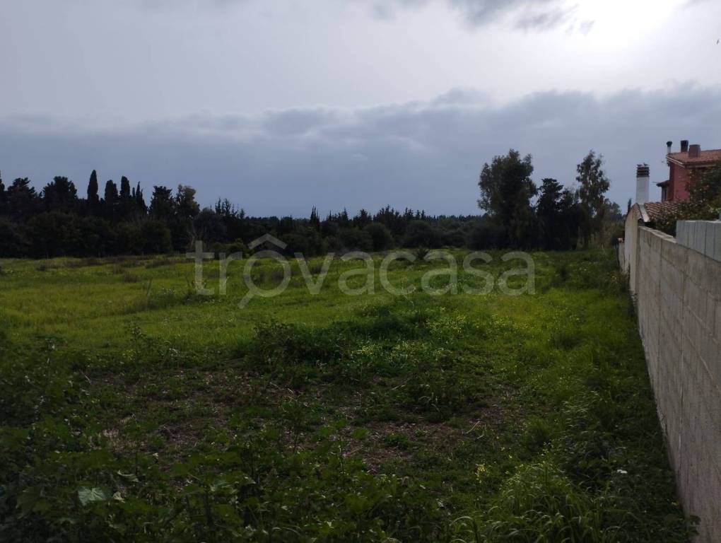 immagine annuncio 6 di 7