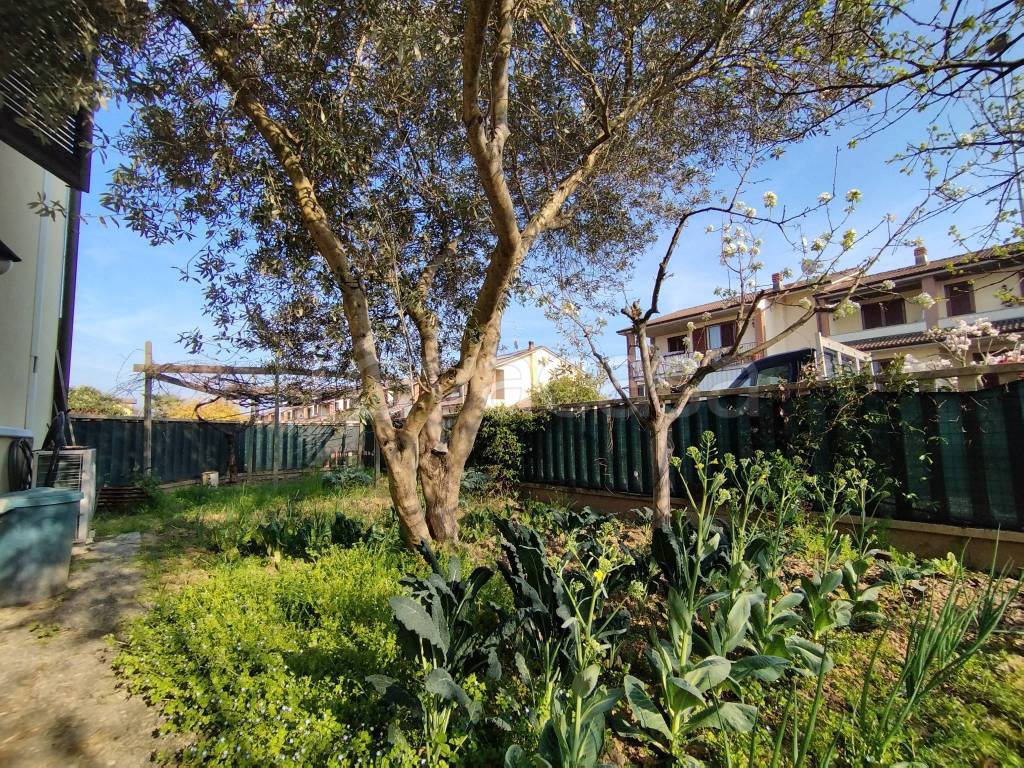 immagine annuncio 8 di 15