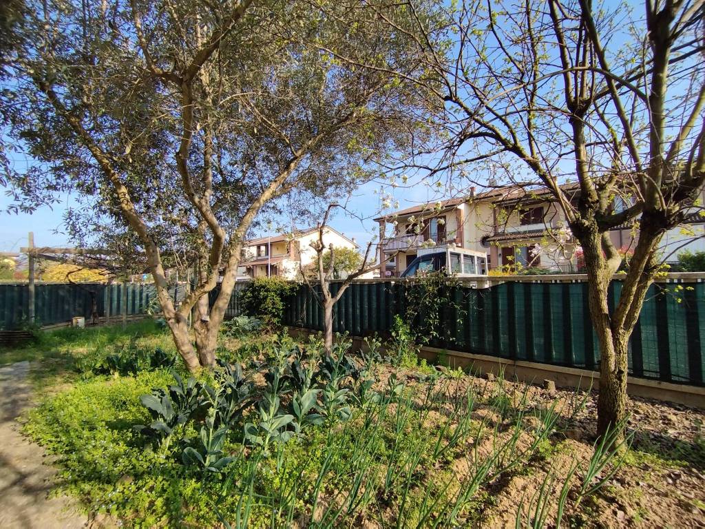 immagine annuncio 9 di 15