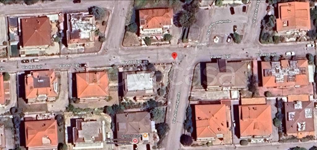 immagine annuncio 9 di 11