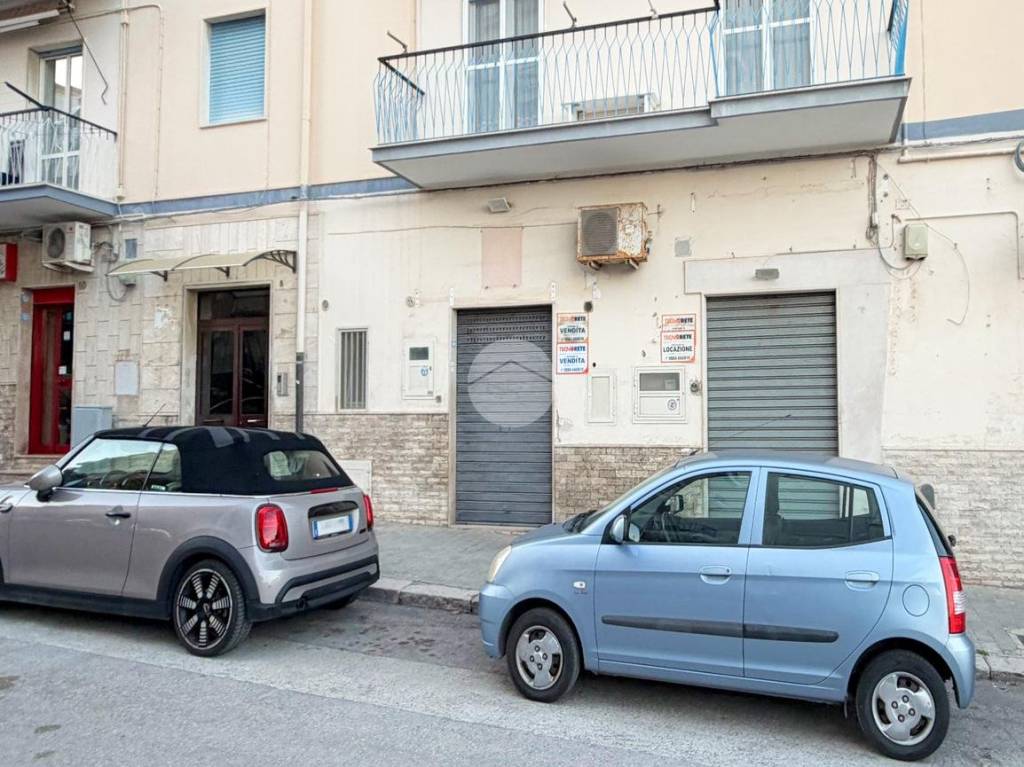 immagine annuncio 5 di 7