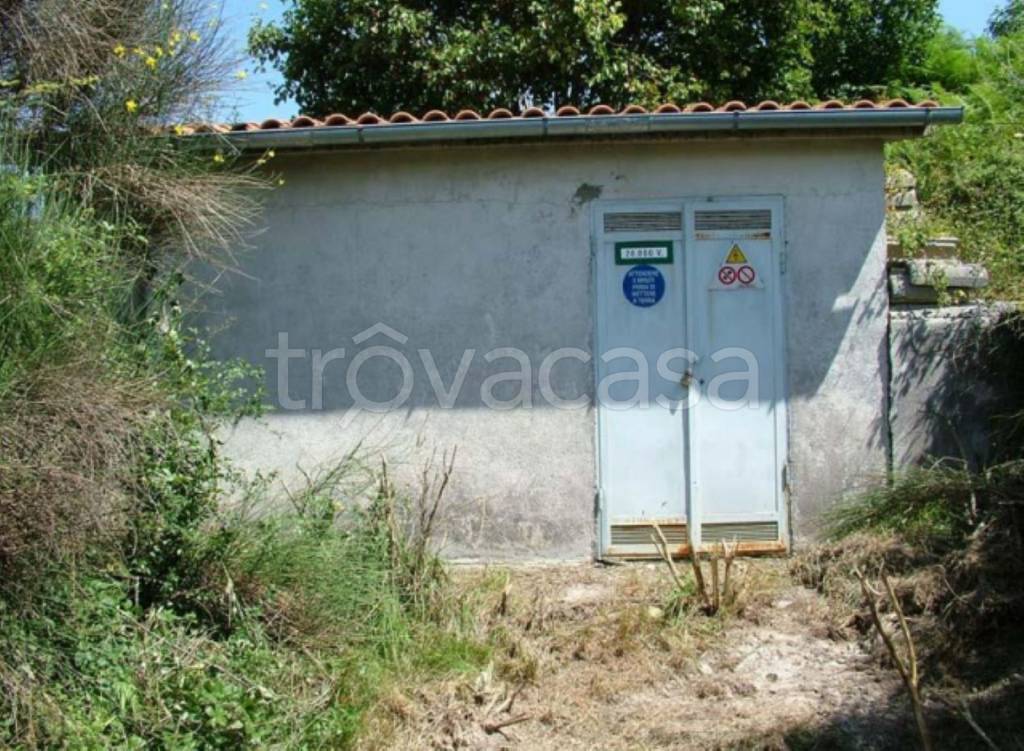 immagine annuncio 4 di 11