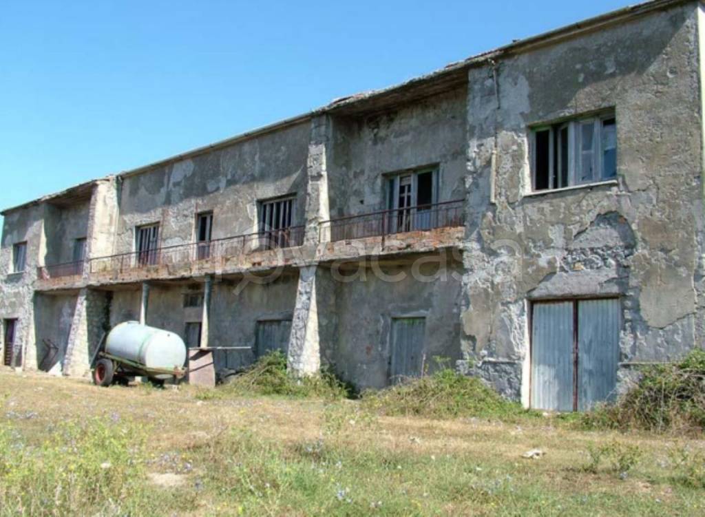 immagine annuncio 10 di 11