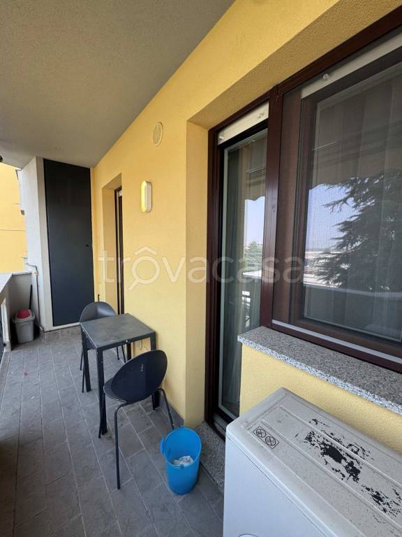 immagine annuncio 4 di 14