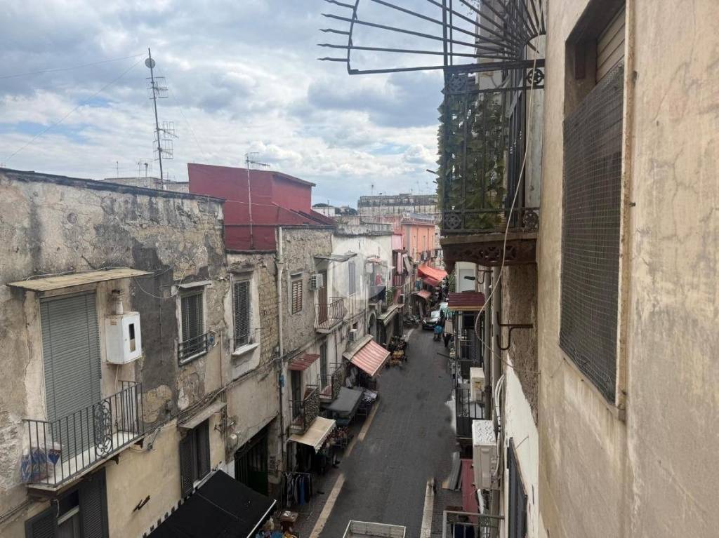 immagine annuncio 11 di 14