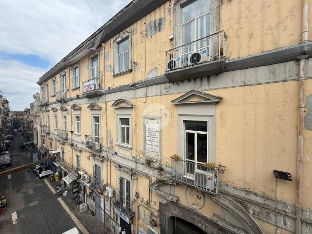 immagine annuncio 12 di 14