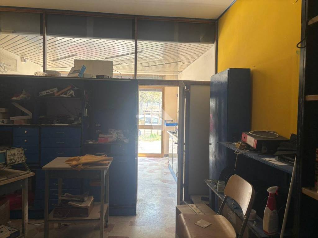 immagine annuncio 3 di 15