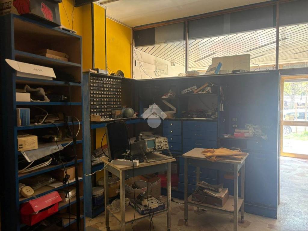 immagine annuncio 9 di 15