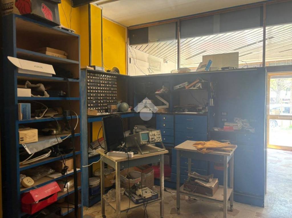 immagine annuncio 12 di 15