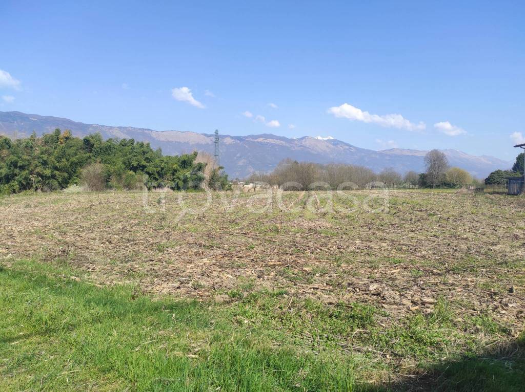 immagine annuncio 1 di 4