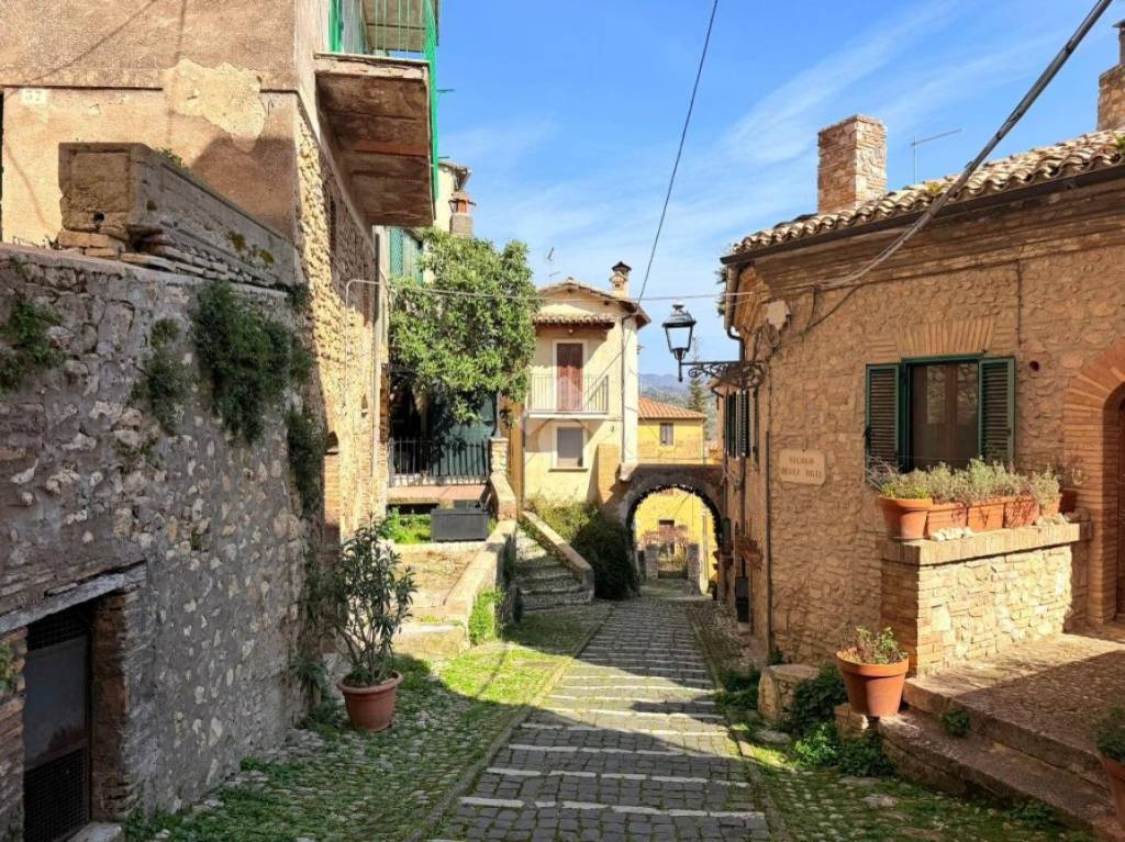 immagine annuncio 9 di 12