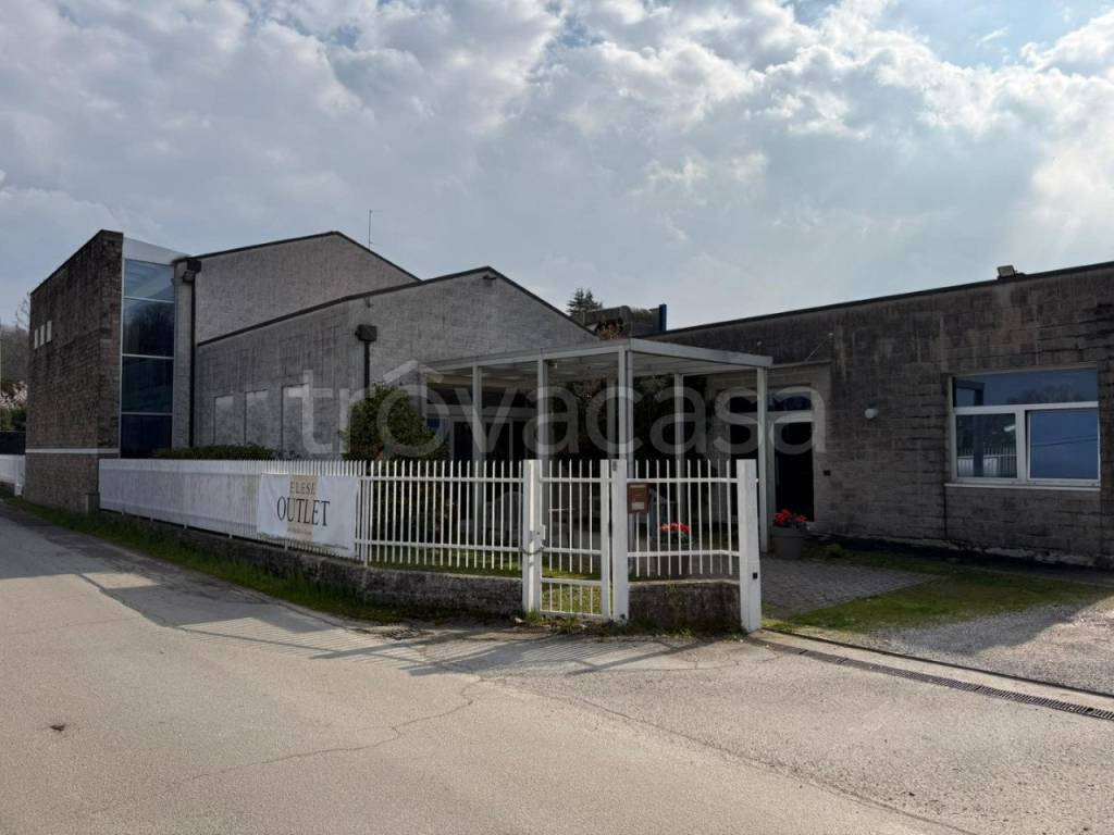 immagine annuncio 2 di 12