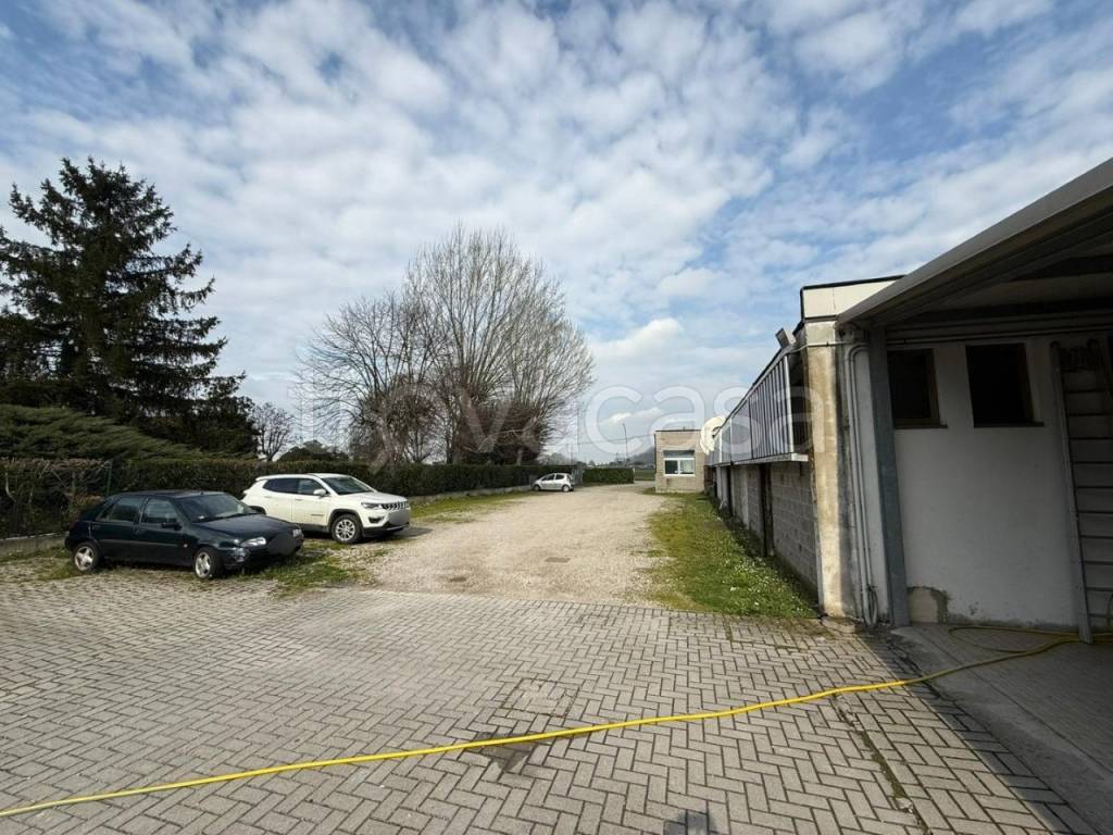 immagine annuncio 7 di 12