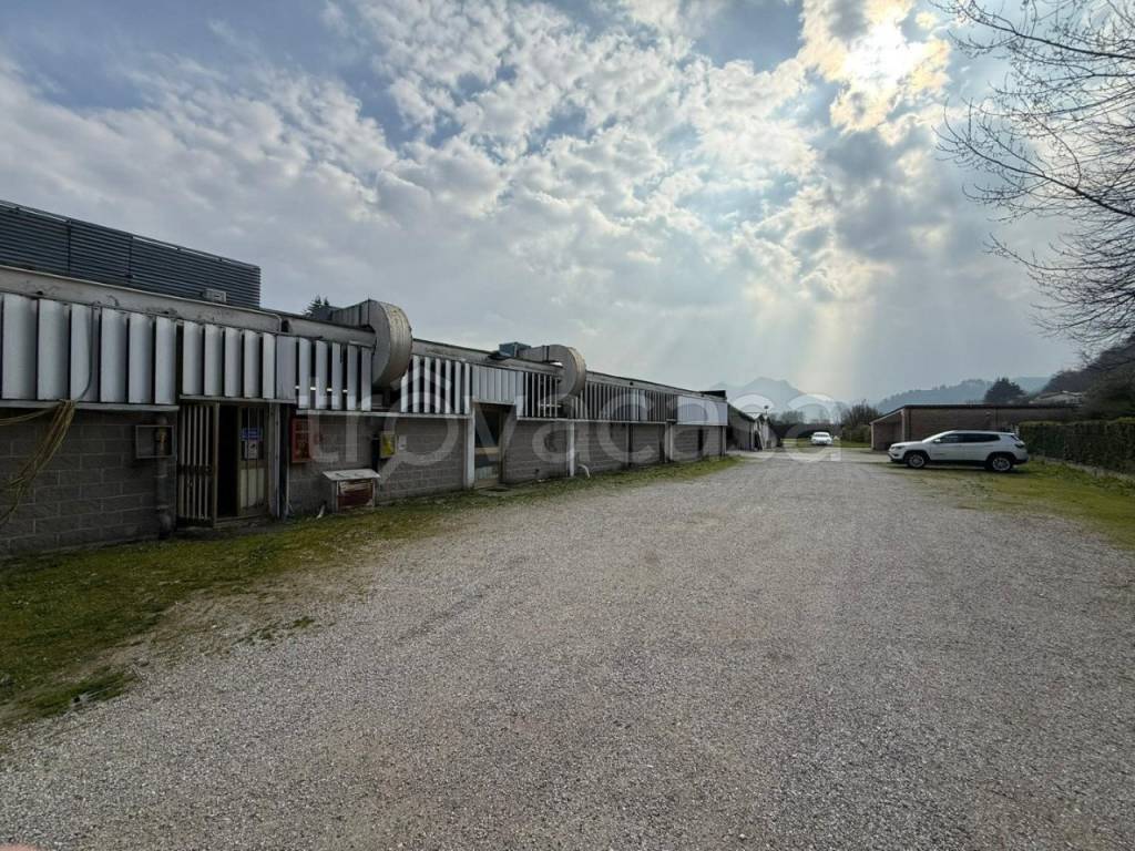 immagine annuncio 10 di 12