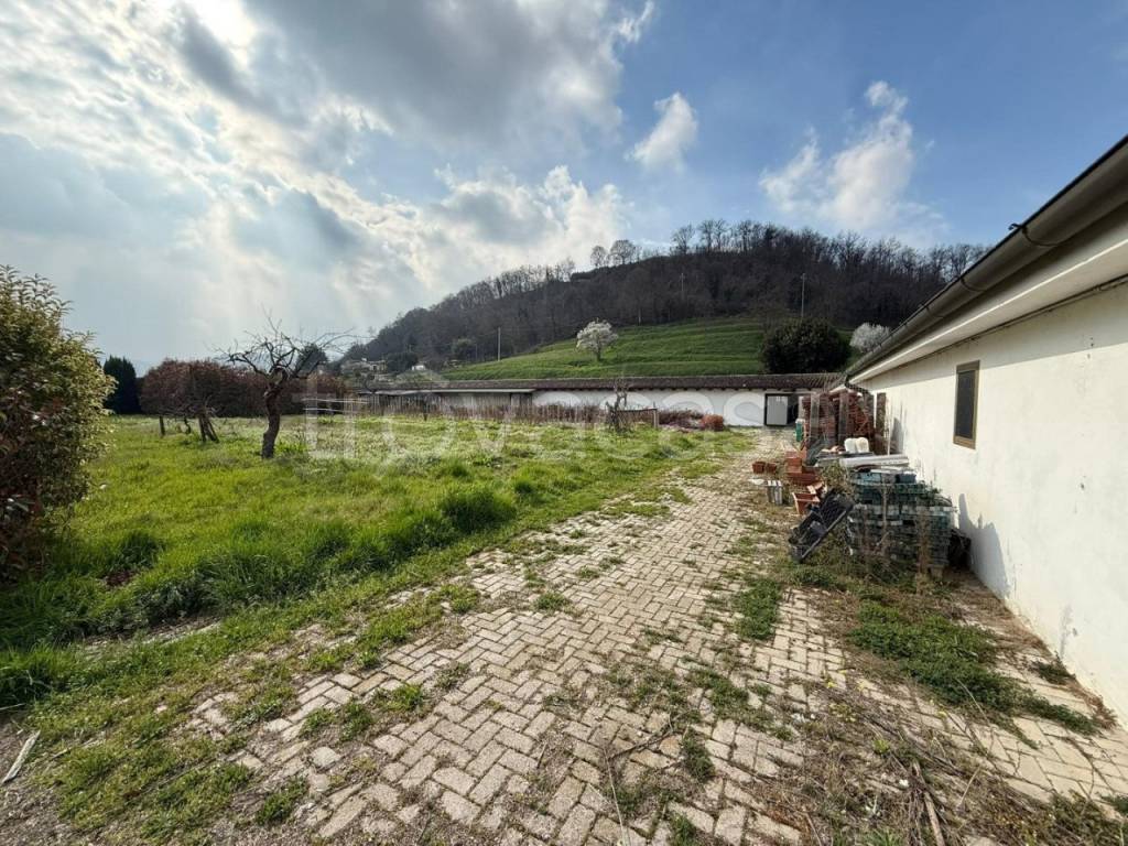 immagine annuncio 11 di 12