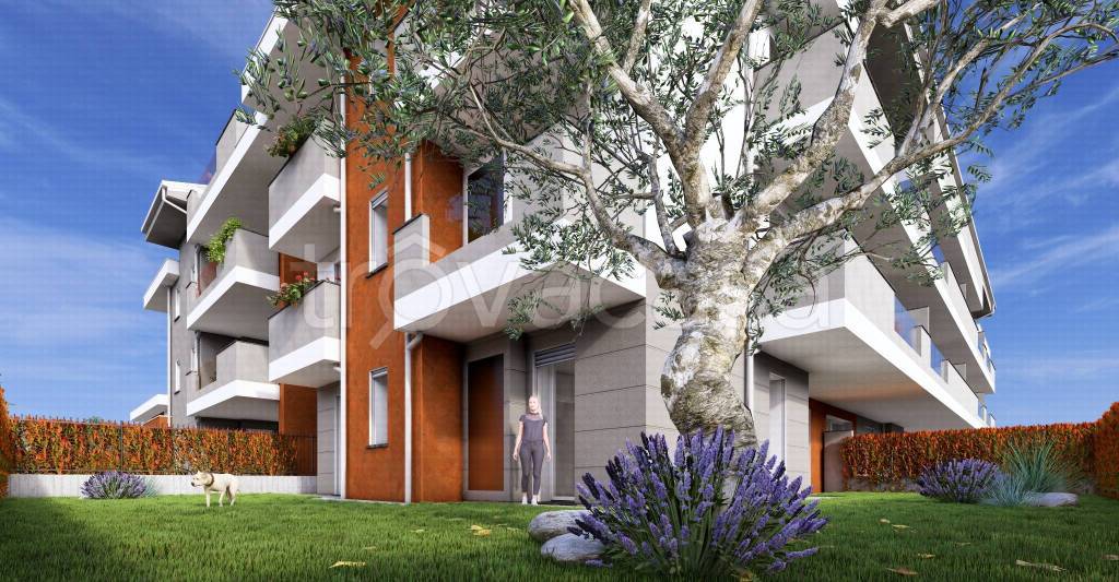 immagine annuncio 8 di 15