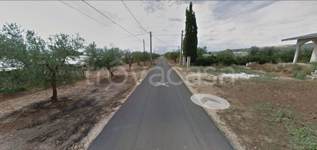 immagine annuncio 8 di 12