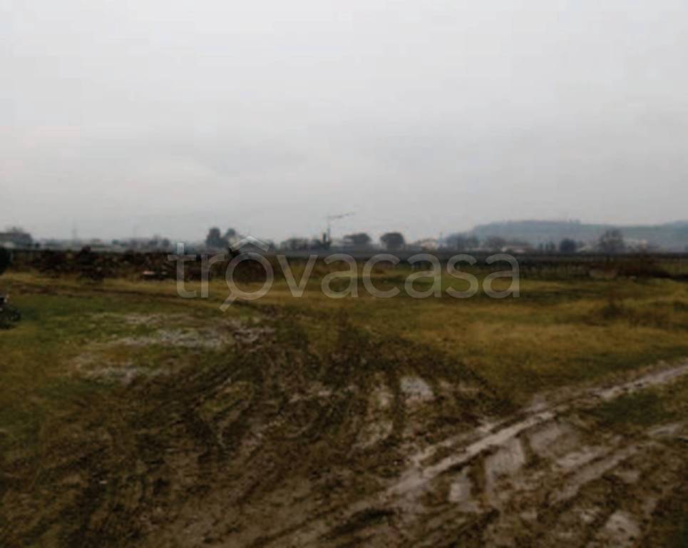 immagine annuncio 4 di 11