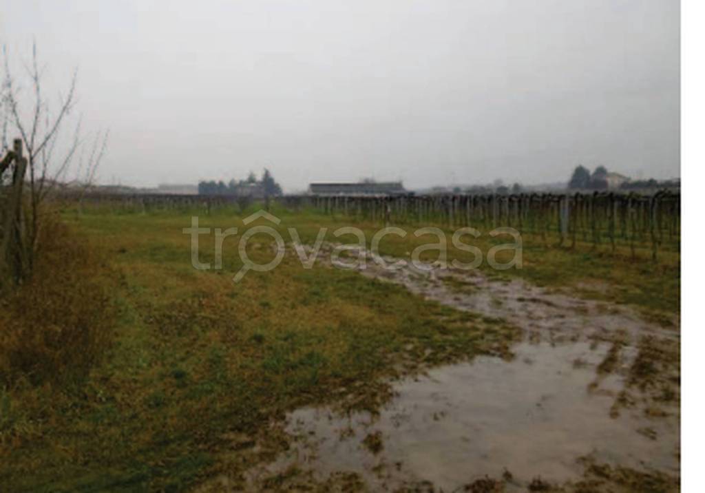 immagine annuncio 5 di 11