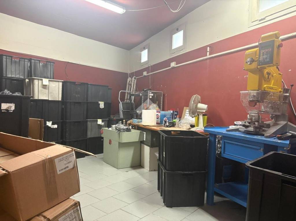 immagine annuncio 6 di 8