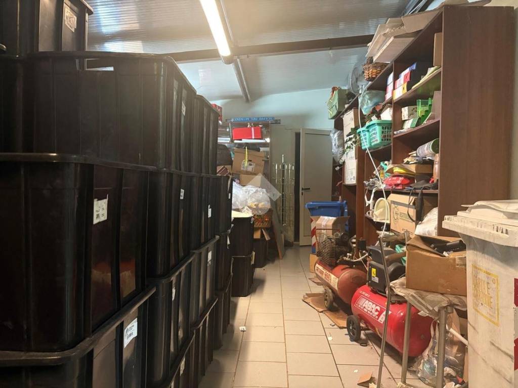 immagine annuncio 7 di 8