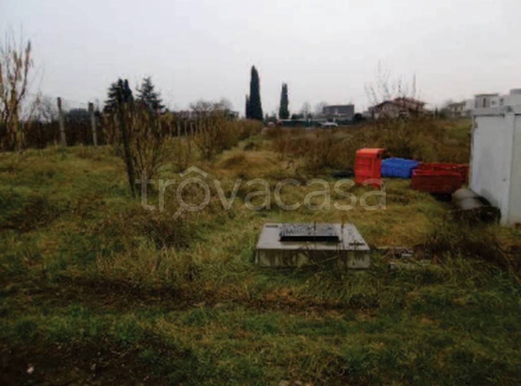 immagine annuncio 7 di 11