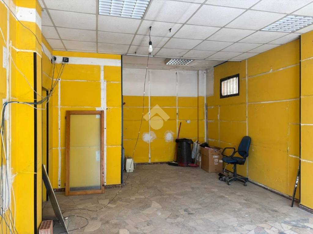 immagine annuncio 3 di 13