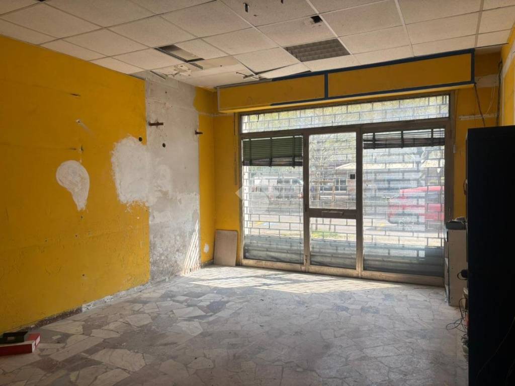 immagine annuncio 6 di 13