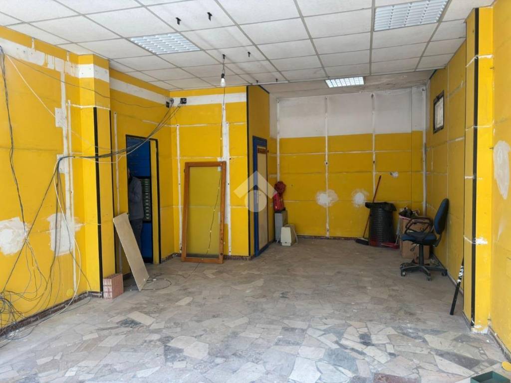 immagine annuncio 9 di 13