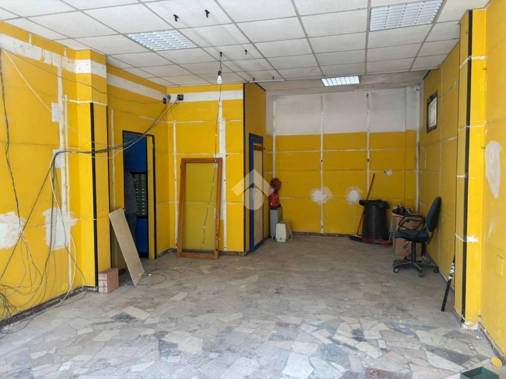 immagine annuncio 10 di 13