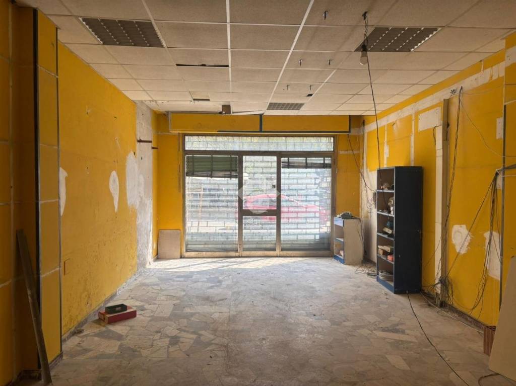 immagine annuncio 11 di 13