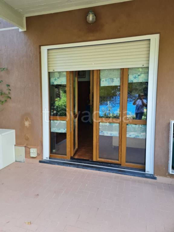 immagine annuncio 3 di 14