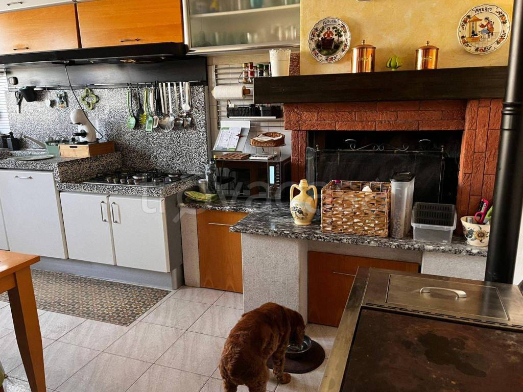 immagine annuncio 7 di 15