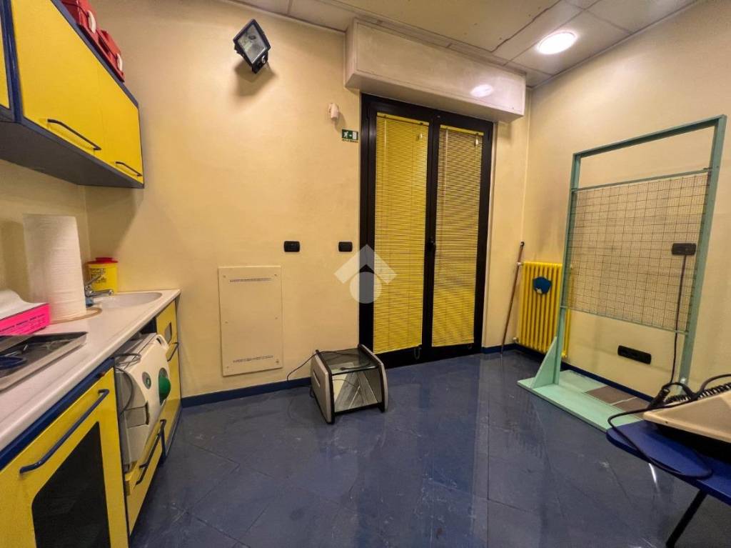 immagine annuncio 6 di 14