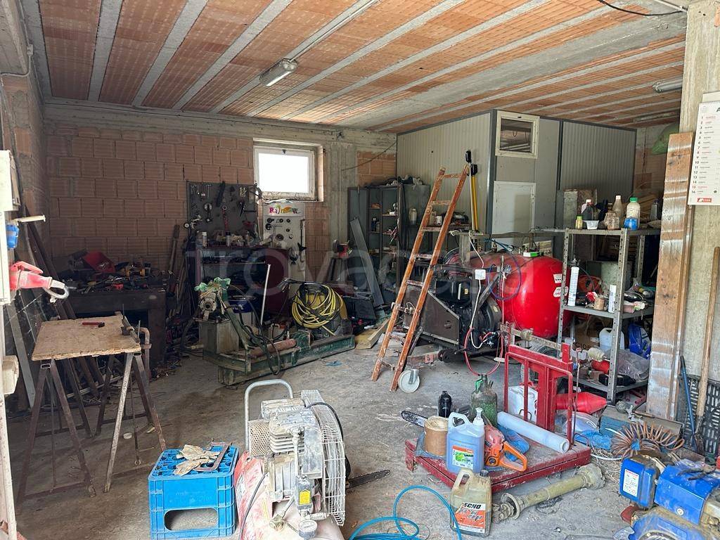 immagine annuncio 12 di 15