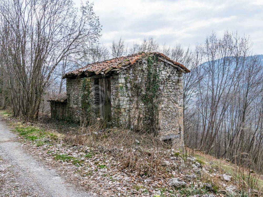 immagine annuncio 1 di 11