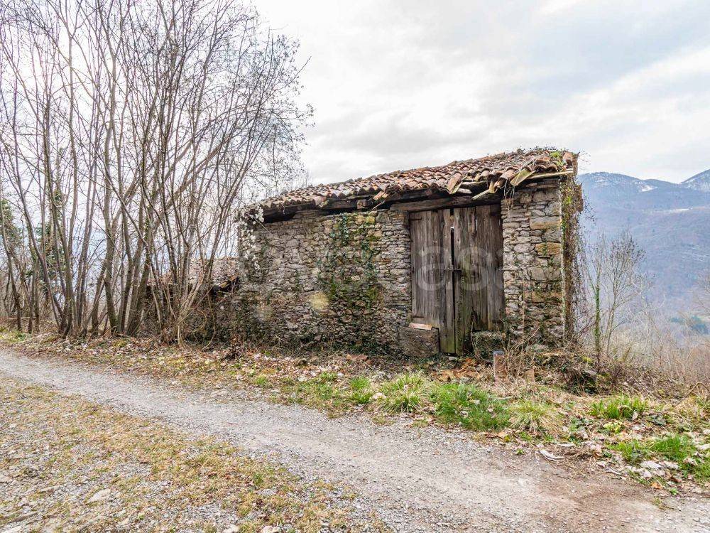 immagine annuncio 4 di 11