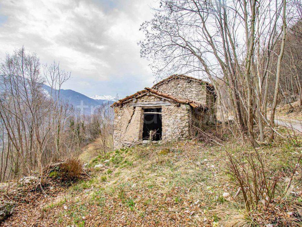 immagine annuncio 6 di 11