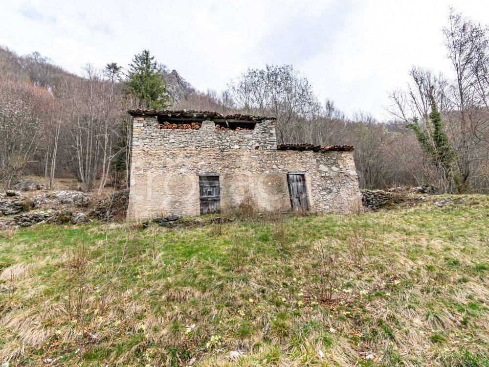 immagine annuncio 8 di 11