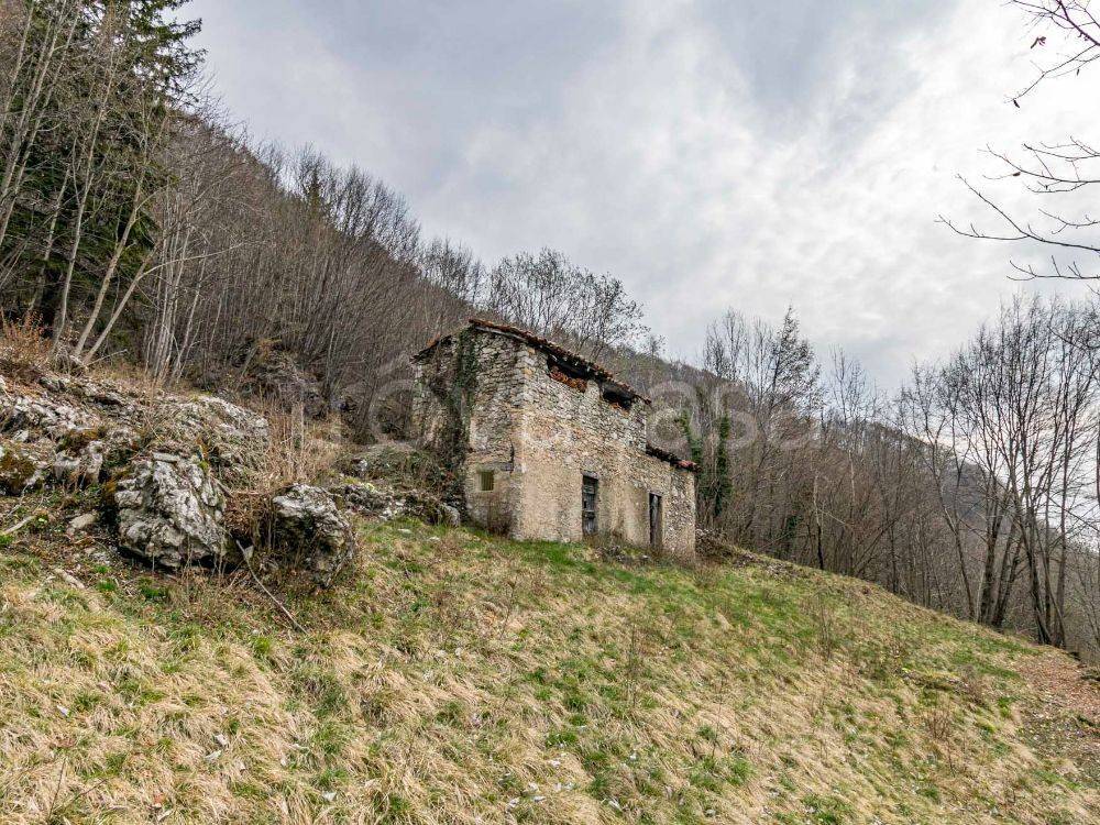 immagine annuncio 10 di 11