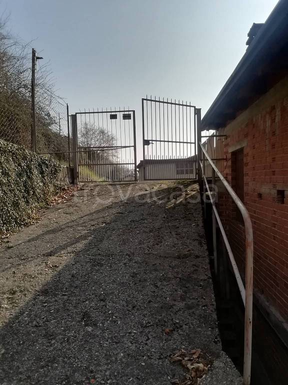 immagine annuncio 7 di 15