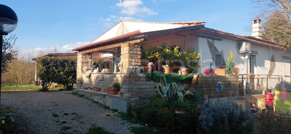 immagine annuncio 1 di 9