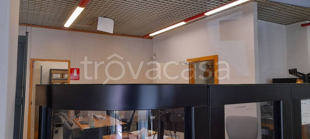 immagine annuncio 9 di 13