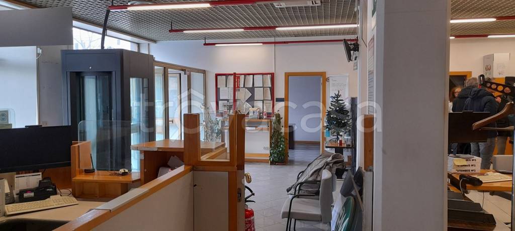 immagine annuncio 12 di 13