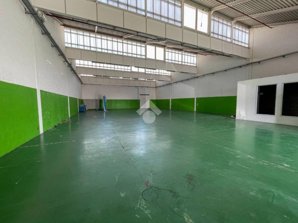 immagine annuncio 1 di 14