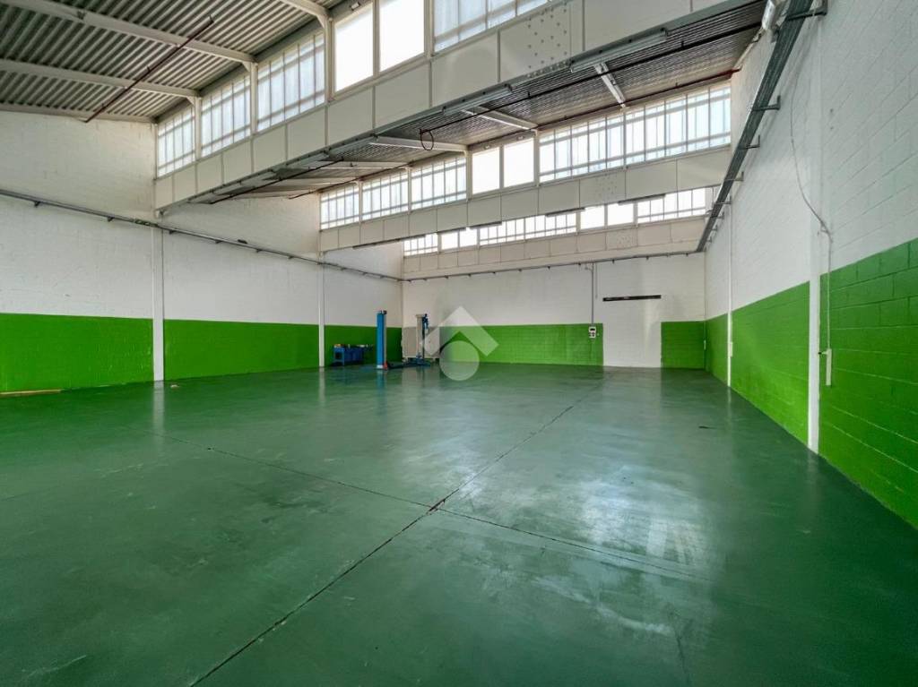 immagine annuncio 2 di 14