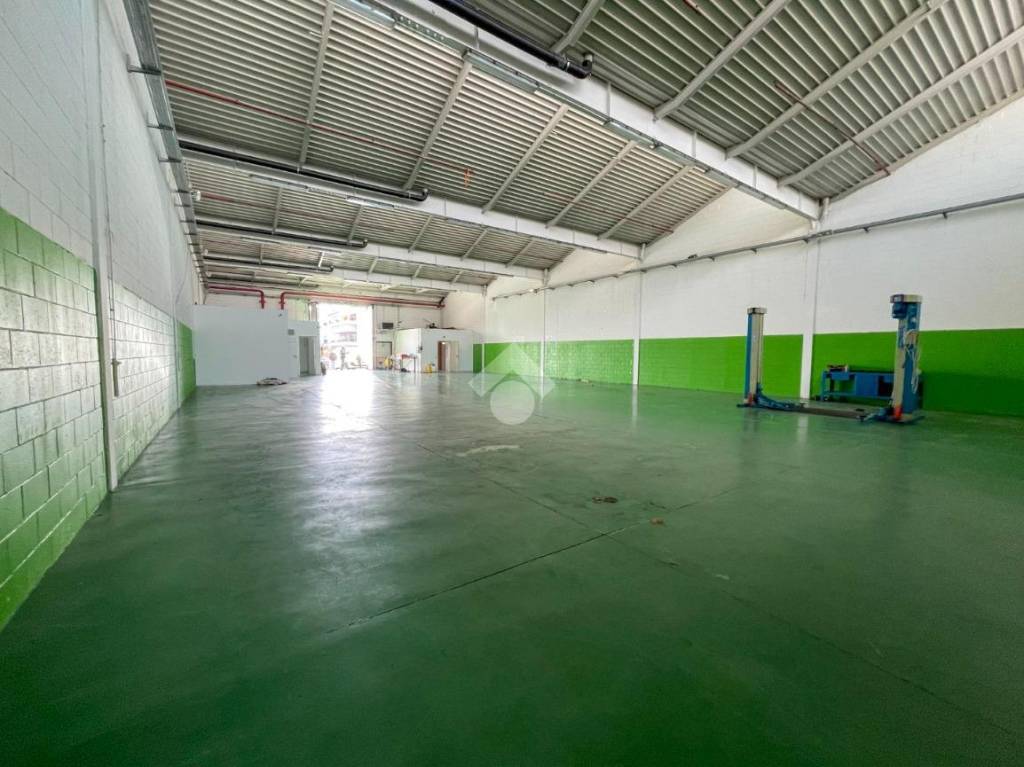 immagine annuncio 3 di 14