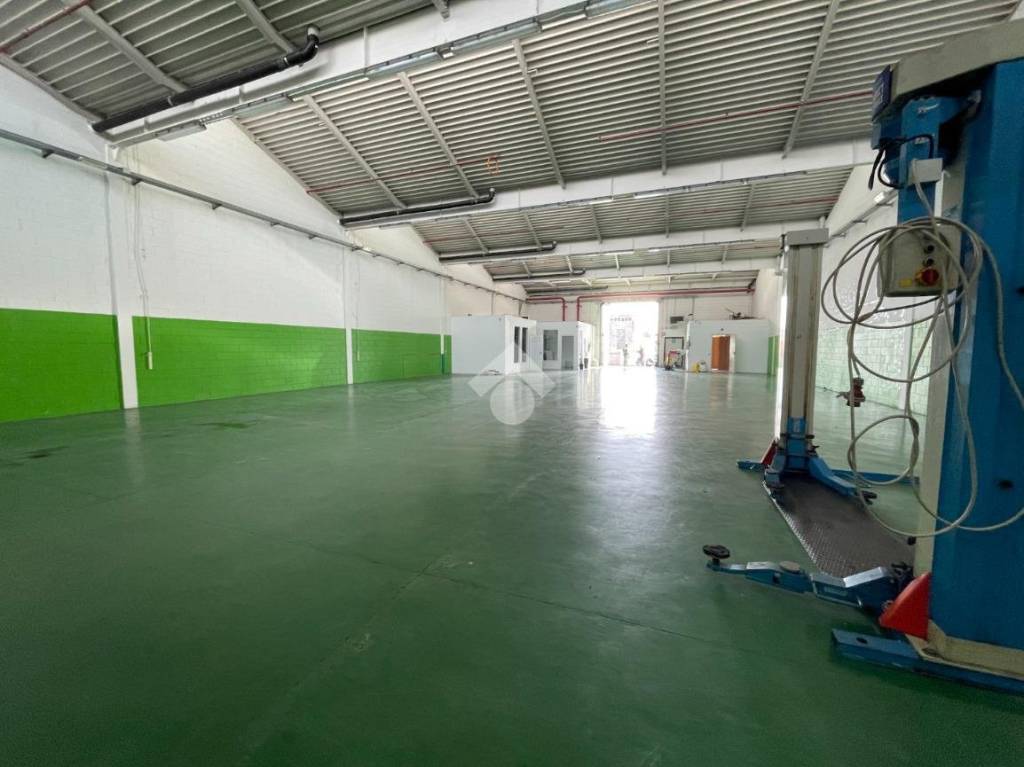 immagine annuncio 4 di 14