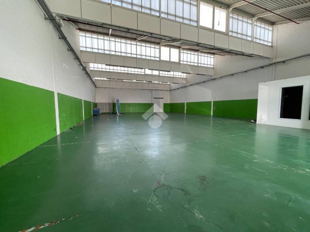 immagine annuncio 5 di 14