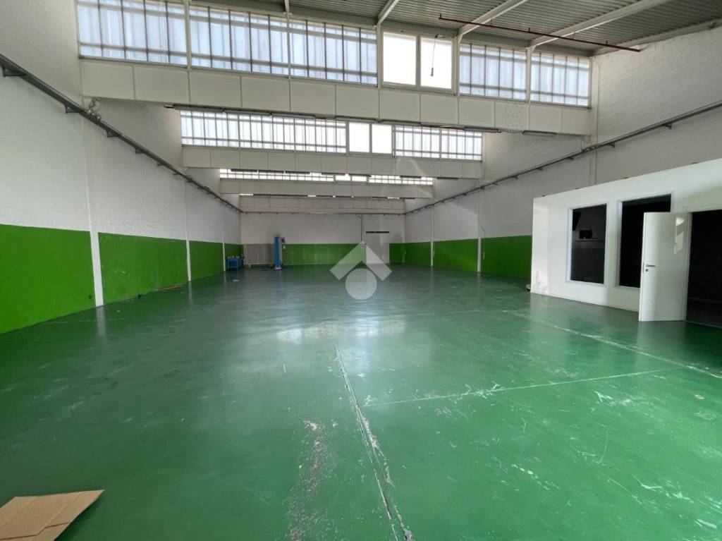 immagine annuncio 6 di 14